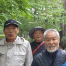 제997차 강남 명품 둘레길 트레킹 (배승한) &amp; 기별야구대회참관기(김남권) 이미지