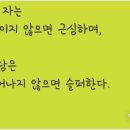 장자길 이미지