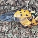 김포서초병설유치원 이미지