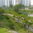 고운동_가락2105동앞 이미지
