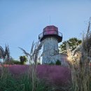 우유 아이스크림 만들기 | 충남투어패스로 안면도&amp;보령 여행 (안면도쥬라기박물관/우유창고 아이스크림만들기체험)