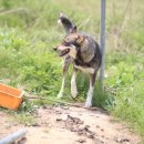 모리농장 이미지