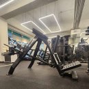 머슬휘트니스 이미지