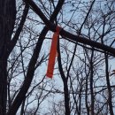 강남-293 | 혼자서 첫 등산 도전! 강남 대모산 산행 후기