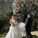 6124 | 소규모 결혼식] ✨ 너무 예뻐서 계속 찾게 되는 웨딩… 해그리다 웨딩홀에서 진행된 감각적인 예식 후기