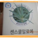 하이리빙 프로슈머 이미지