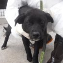 신흥1리 사무소 이미지