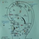 휴민행정사합동사무소 이미지