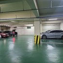 부산골프 칼리지 이미지