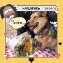 화부산로 | 강릉꽃집 교동 호박꽃집 강릉역꽃배달 후기 | 강릉여행 인생샷 필수 꽃다발 추천