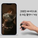 [결혼/웨딩] 결혼식 없는 결혼, 새로운 선택의 시작 #7 셀프 스냅 웨딩촬영 (준비과정, 드레스, 소품 추천)