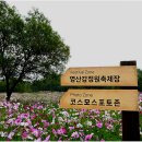 꽃단지 Daum카페