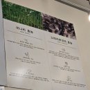 권율대로 894 | #87 신원맛집3 : 등촌샤브칼국수 신원마을점
