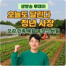 정부농장 | 생방송 투데이 포시즌힐링팜 오늘도 달린다 청년 사장, 오감 만족 체험 농장의 비밀