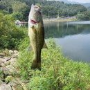 백학지 옆 이미지