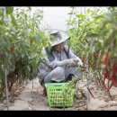 [스님의 하루]“서로를 적대시하는 남한과 북한 정부를 보면 답답합니다” 이미지