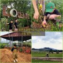 새참하우스 | 로렌츠감성치유시골체험 | 작물 수확, 물놀이, 새참 요리까지 평택 농장 팜크닉🐶🧅🧄