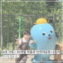헤롱헤롱 | 4대가족 | 30개월 아들과 재미있게 다녀온 인천대공원 나들이 후기