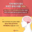 HDL 이미지