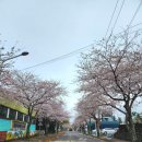 서호동-16 이미지