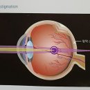 안경매니져 무실점 이미지