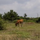 예원스테이 이미지