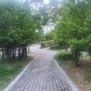 비석어린이공원 이미지