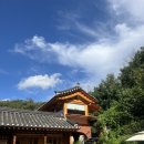 안뜰 경로당 | 서울 강서구 감성 한옥 카페 추천 깅꼬서울 후기
