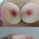 은이농장 이미지