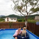 행복한그림이 이미지