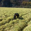 산내음농장 이미지