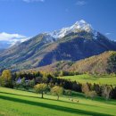 수정로120번길 이미지