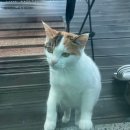 (주)겸사겸사 네이버블로그