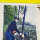 박가원옻닭 이미지