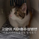 키다리동물병원 이미지