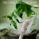 강희농장 이미지