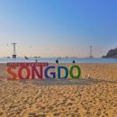 송도해수욕장 이미지