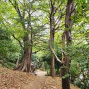 부산진성공원(천장군기념비) 이미지