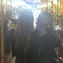 (주) 닥슨