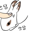 동두천호수부대찌개(의정부용현점) 이미지