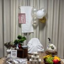 크린서포트 | [공지] 백일상 대여 호랭이잔치 셀프 백일사진 촬영후기