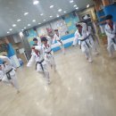 용인대쌍용태권도 이미지