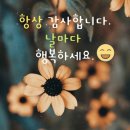 행복한하루 이미지