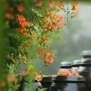 로드뮤직 이미지