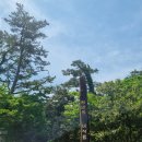 제주탄탄공인중개사사무소 이미지