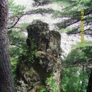 계곡사랑 이미지