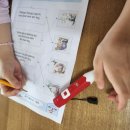 Cat garden 이미지