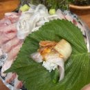 탐나종합어시장 서울대점 | [서울대입구] 탐나종합어시장서울대점 숭어•향어•도다리까지 제대로 먹은 솔직후기