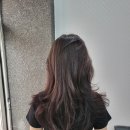 이오엘헤어