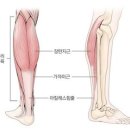 엘리스의원 - 창원시 성산구 마디미서로 54 | 엘리스의원